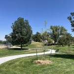 A new trail meandering through a park of green grass.