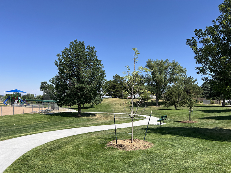 A new trail meandering through a park of green grass.