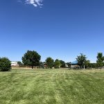 A field of grass with a park shelter in the background.