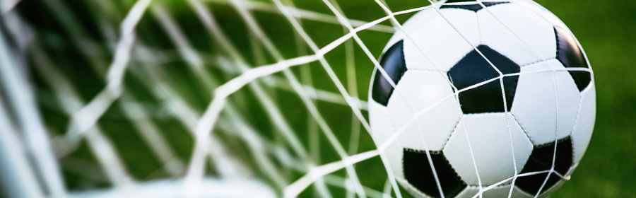 A soccer ball caught in the goal net.